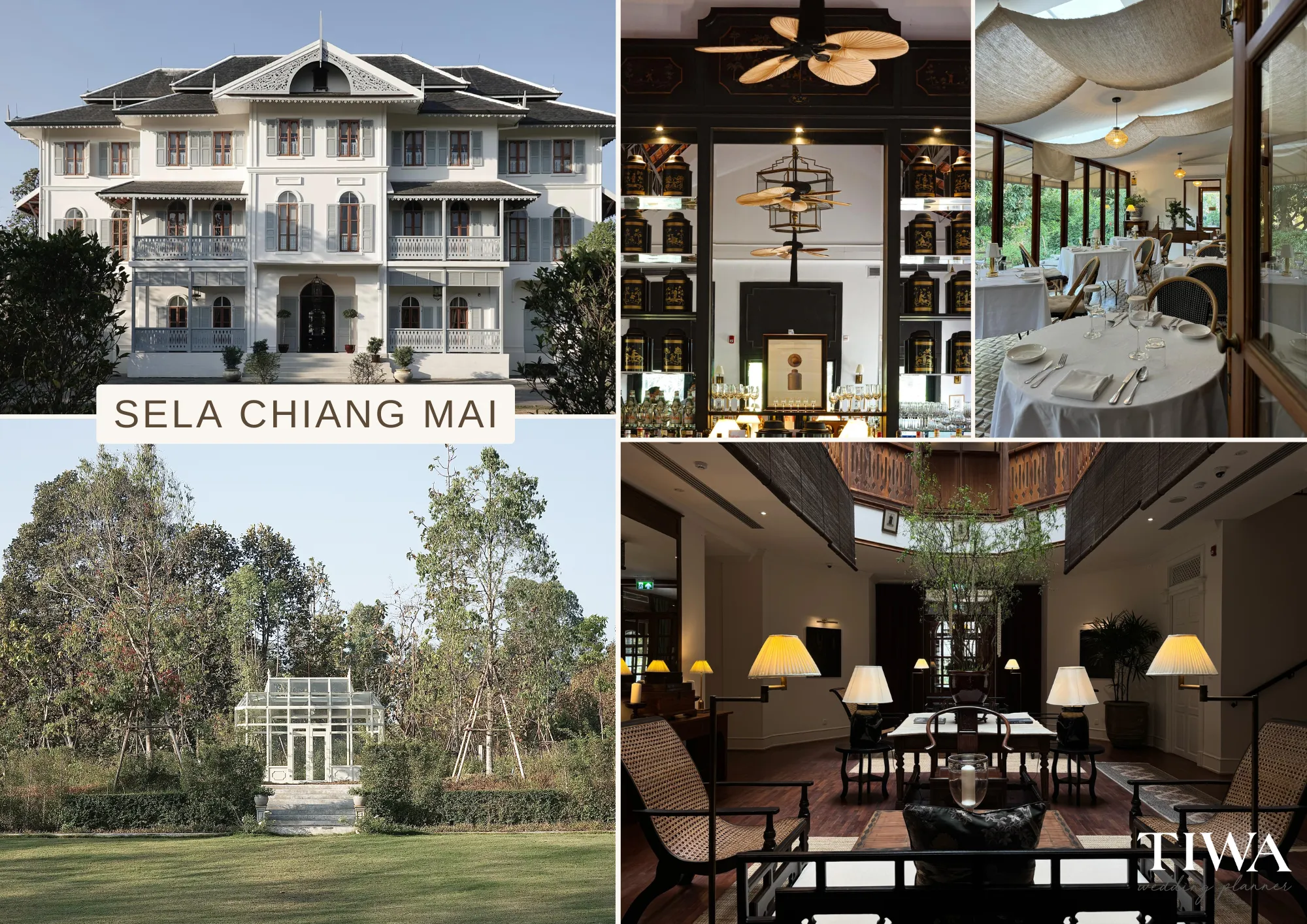 Sela Chiang Mai